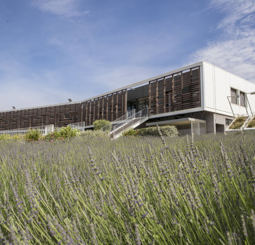 Centre national de la recherche scientifique (CNRS)