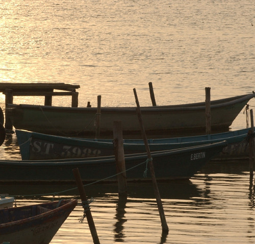 Étangs de Pérols ©3M