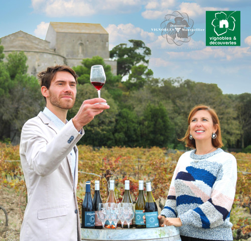 Destination Vignobles de Montpellier ©A. ALLIES