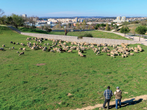 Assises territoriales de la transition agro-écologique et de l’alimentation durable