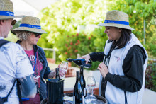 Balade Gastronomique Aux Grés de Montpellier 2025