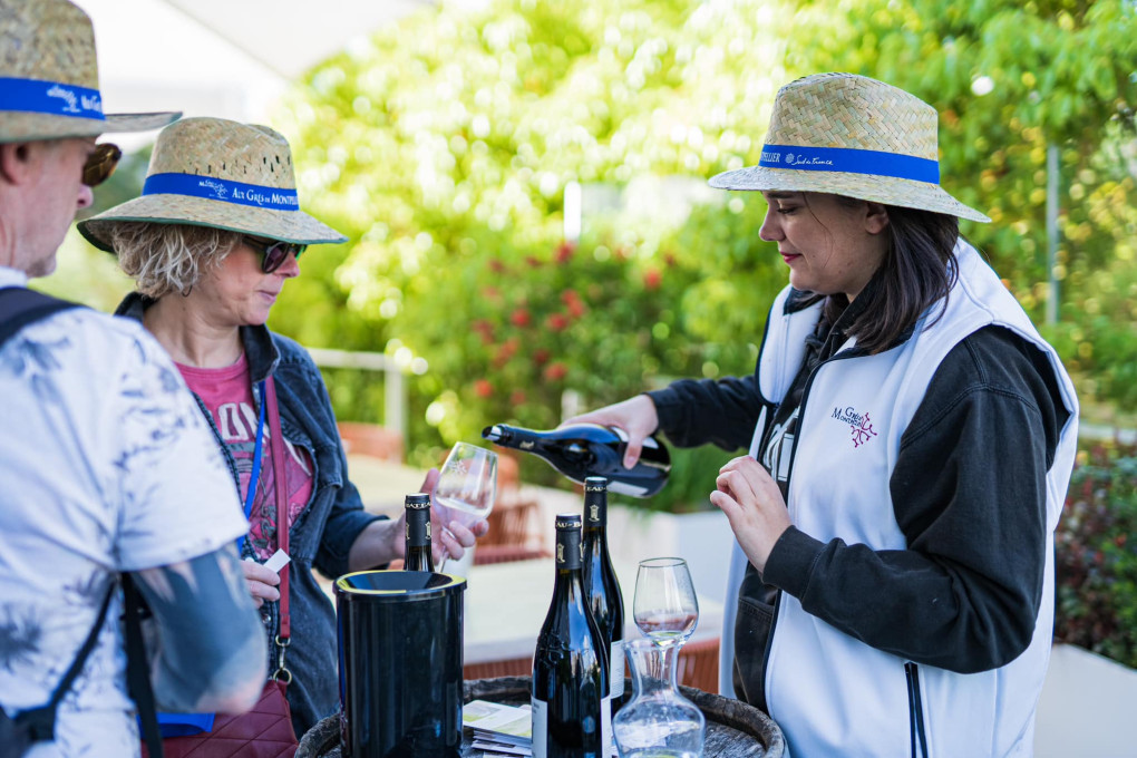 Balade Gastronomique Aux Grés de Montpellier 2025