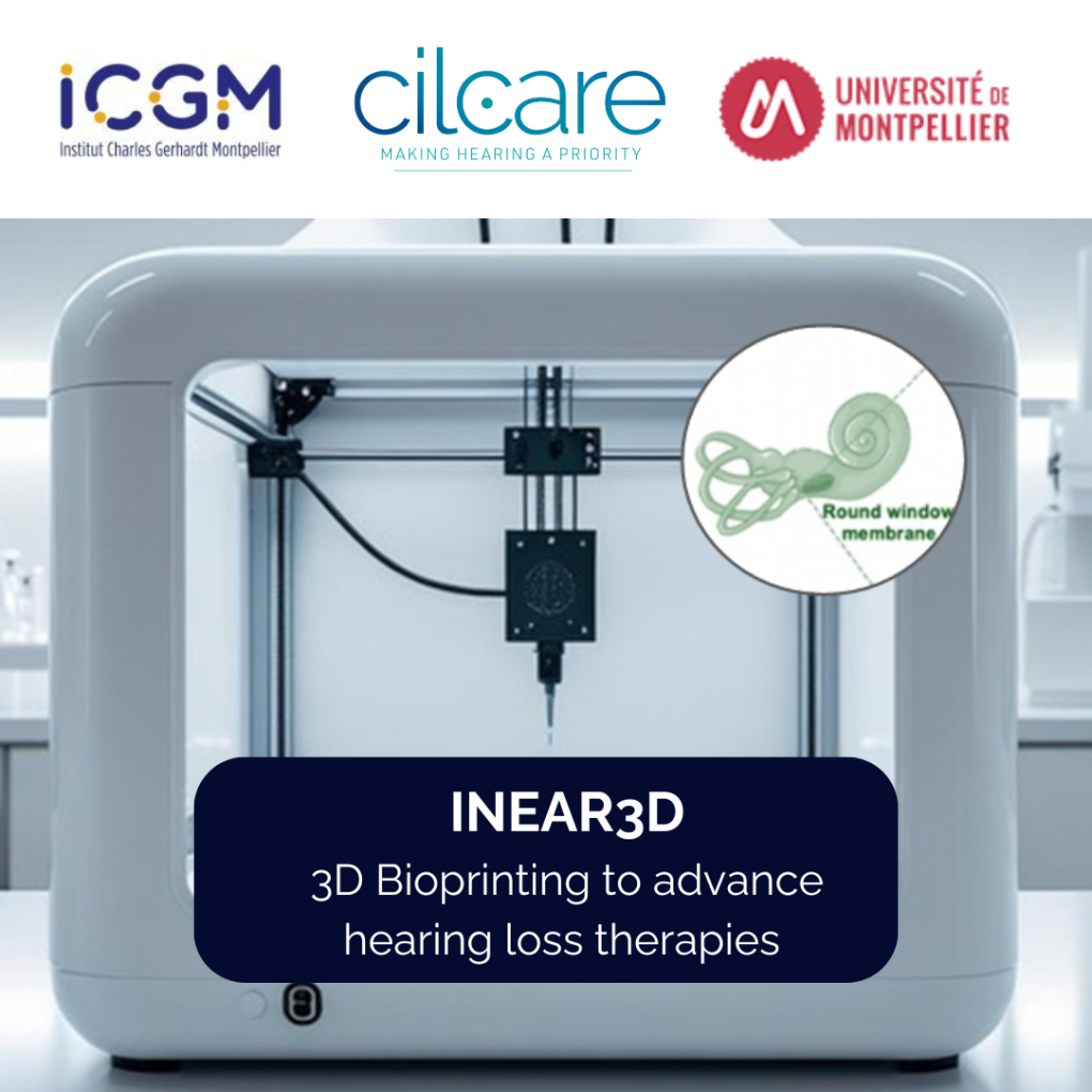 INEAR3D: un modèle vitro imprimé en 3D pour accélérer le développement de thérapies auditives